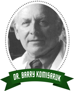 Dr.-Barry-Komisaruk